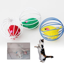 Rolling Ball Cat Toy