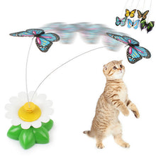 PETRICH's Rotating Butterfly Cat/Kitten Toy